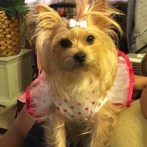 Meet your Posher, Eli